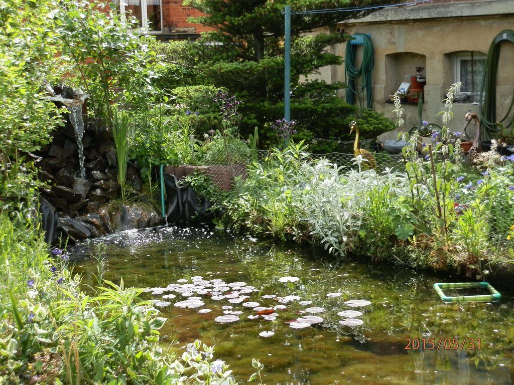 Ferienwohnung Fedler بلانكنبرغ الغرفة الصورة
