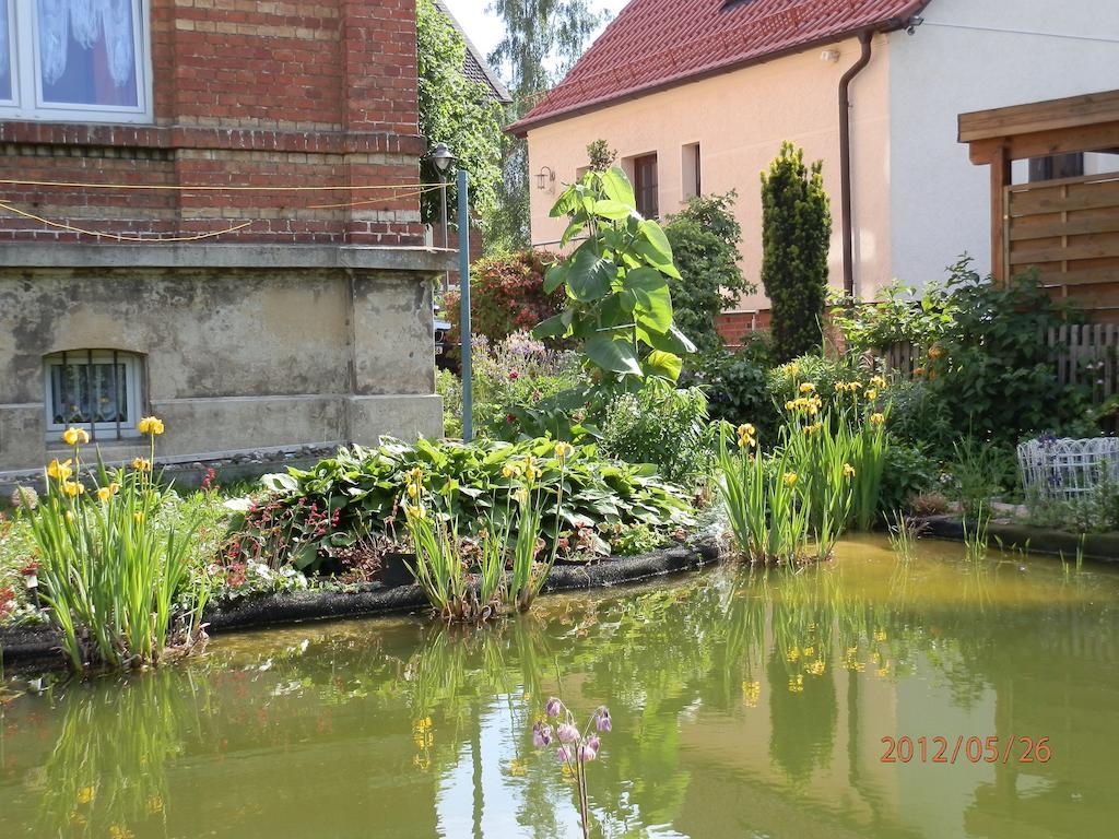 Ferienwohnung Fedler بلانكنبرغ الغرفة الصورة